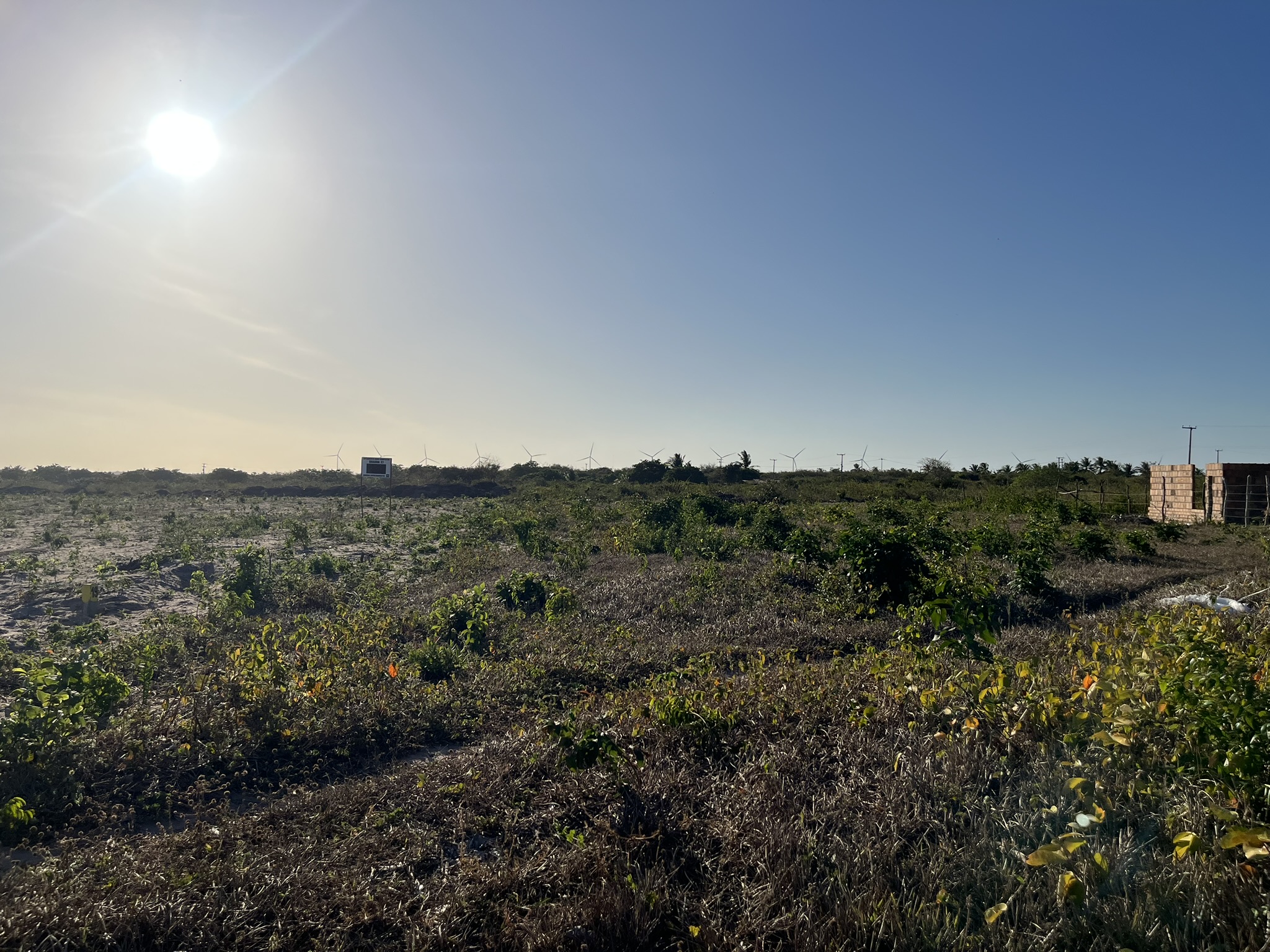 Área do Novo Campestre ao entardecer com turbinas eólicas ao fundo