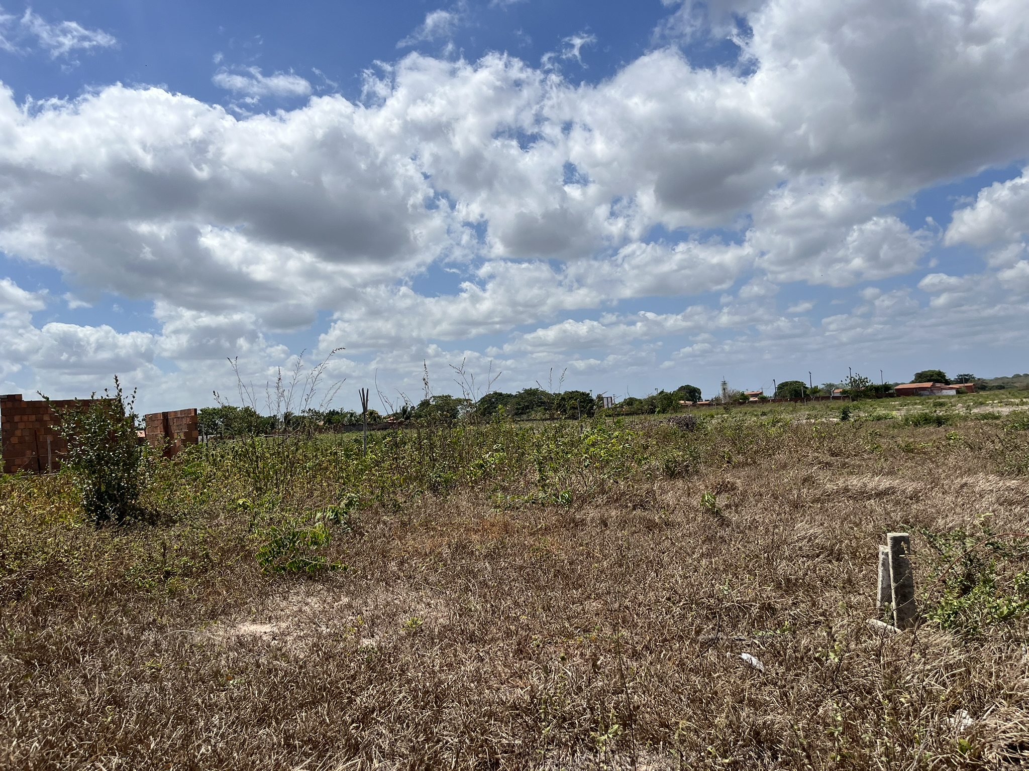 Vista dos lotes do Novo Campestre com céu nublado