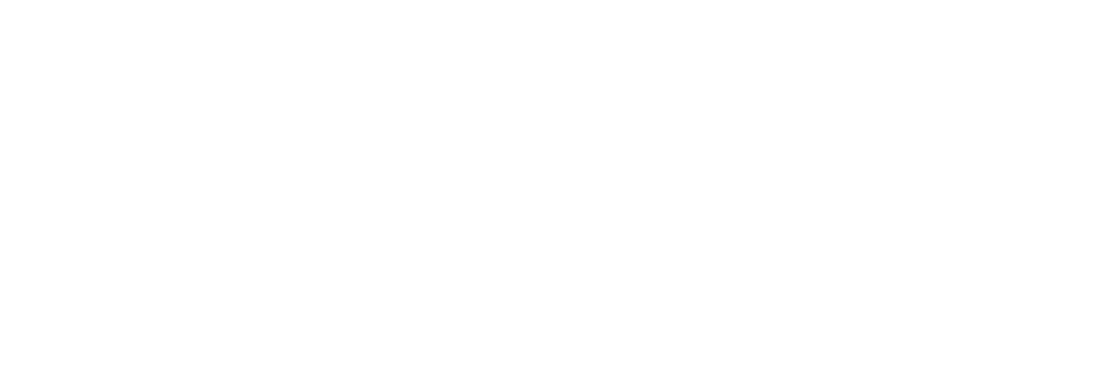 Adilane Braga